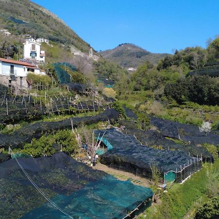 トラモンティAntica Cartiera Sant'Eliaアパートメント エクステリア 写真